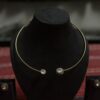 Hasli Brass Necklace with Gold Plating & Fashionable Statement Nature Inspired Design with Anti-Tarnish Finish, Jewellery For Women/Girls