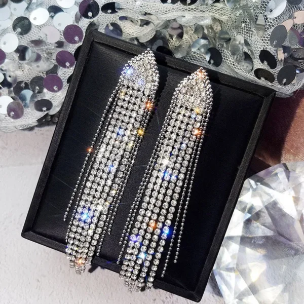 classic zircon long Earrings
